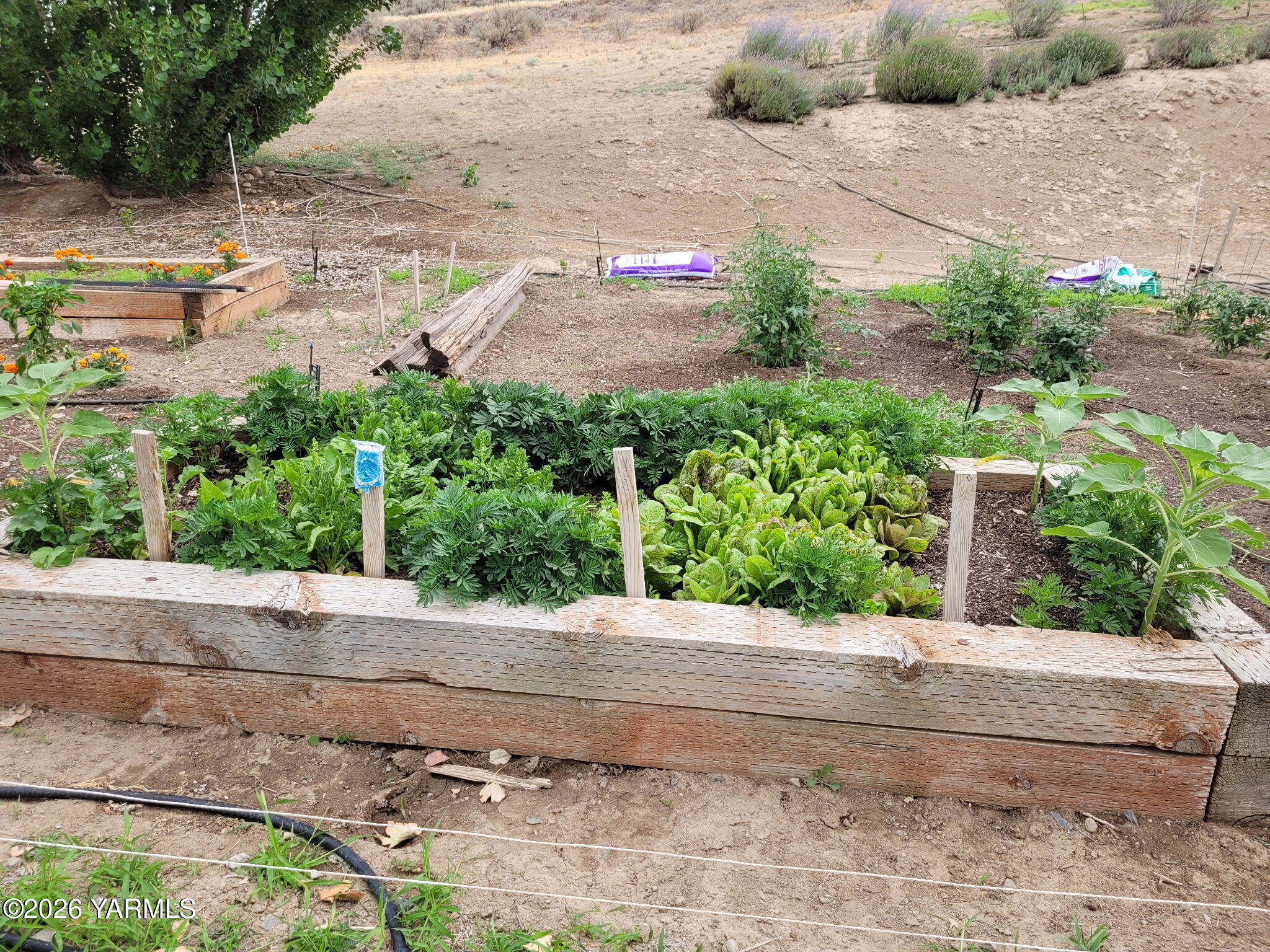 1390 Freimuth Road Selah, WA 98942 - Photo 41 of 48 4626781814150323360