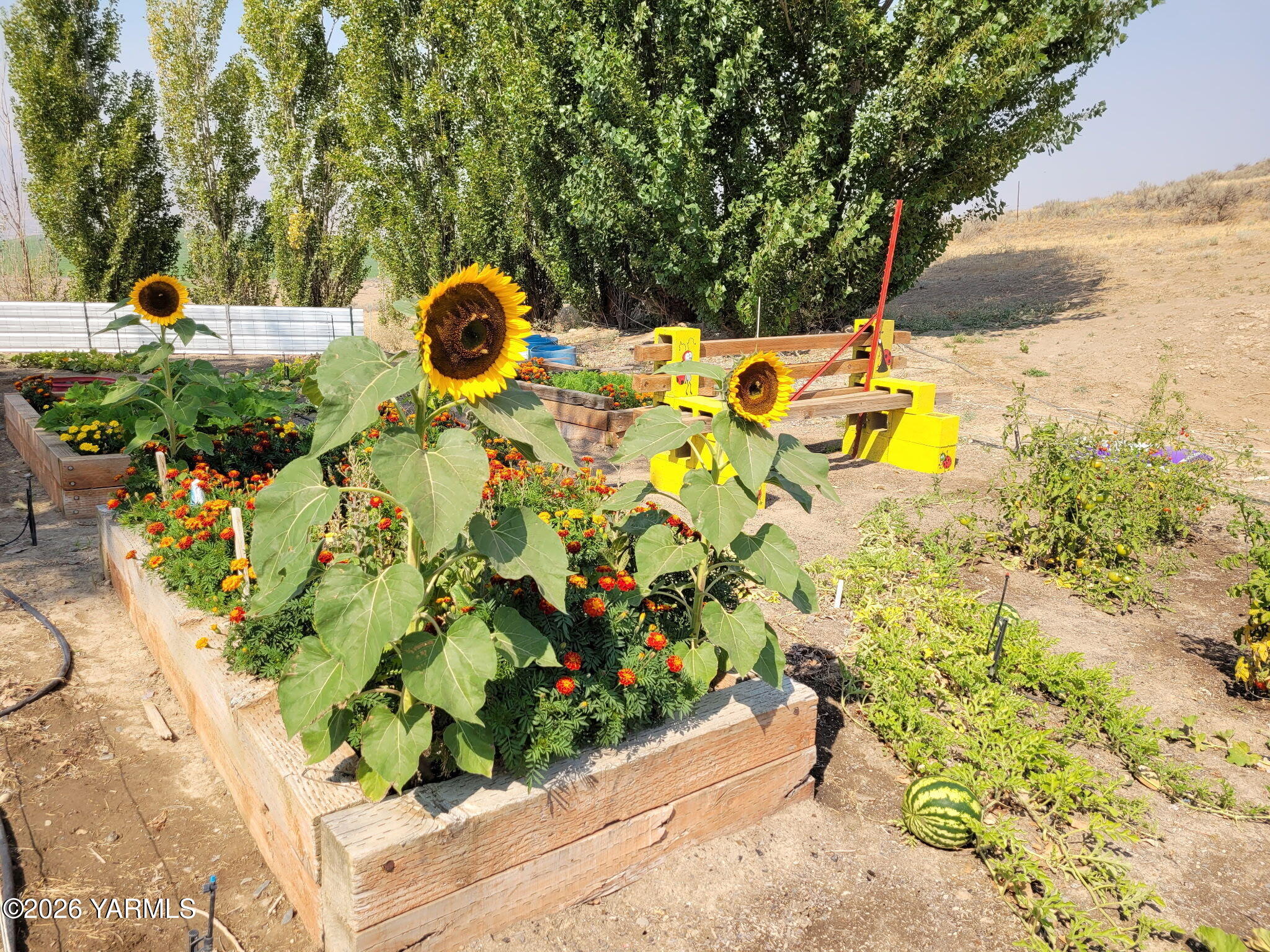 1390 Freimuth Road Selah, WA 98942 - Photo 43 of 48 7745979712464439822