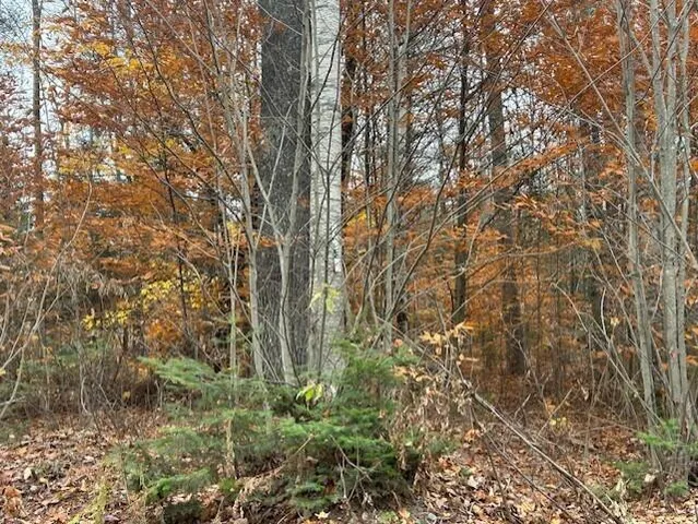 $30,000 | 54-1 Glass Hill Road, Guilford, ME 04443