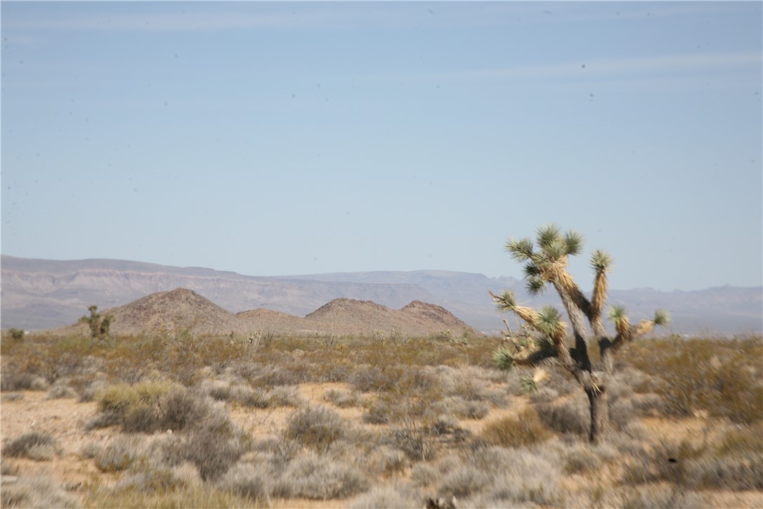 245-18-266 Alan Road Yucca, AZ 86438 - Photo 50 of 54