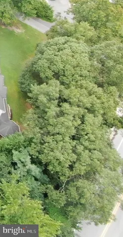 a view of road and trees