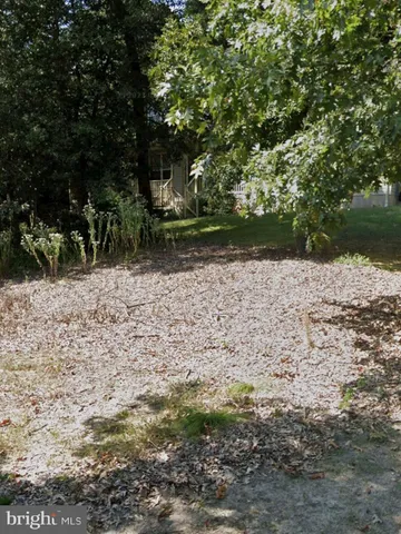 a view of a garden with an outdoor space