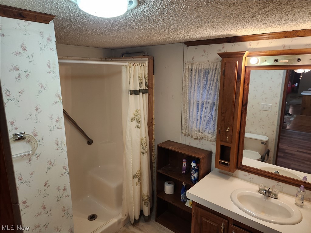 3895 Middletown Road East Youngstown, OH 44514 - Photo 20 of 28 Bathroom featuring a shower with curtain, toilet, a textured ceiling, and vanity