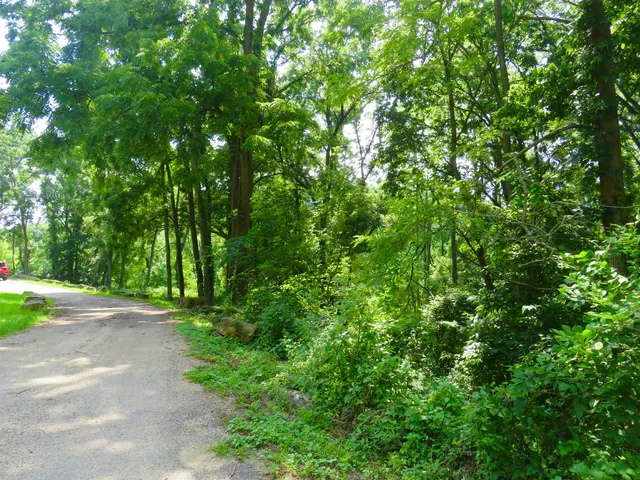 a view of a grassy field with trees in the background