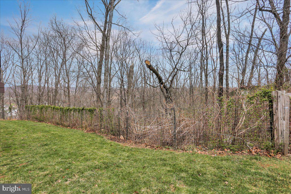 85 Stephanie Road Birdsboro, PA 19508 - Photo 45 of 46 Gallery Image 45