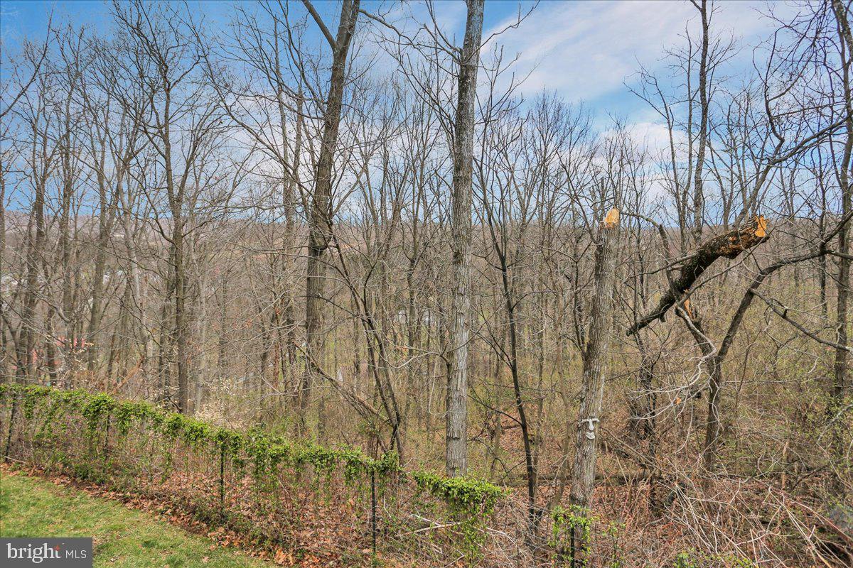 85 Stephanie Road Birdsboro, PA 19508 - Photo 46 of 46 Gallery Image 46