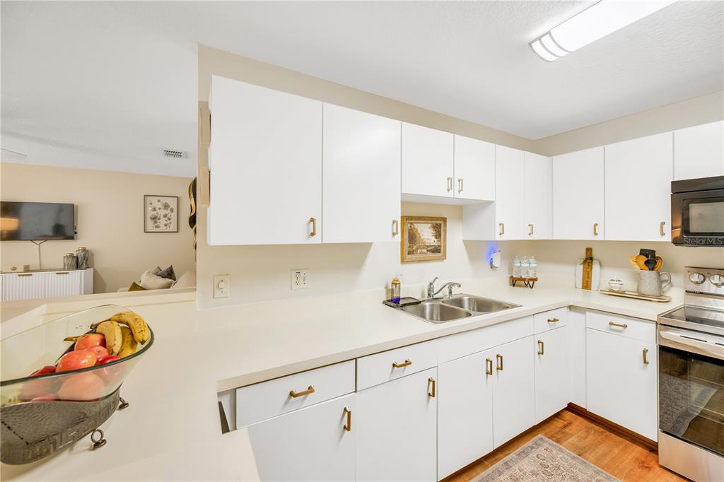 10318 Summerview Circle Riverview, FL 33578 - Photo 22 of 39 a kitchen with stainless steel appliances granite countertop a sink and cabinets