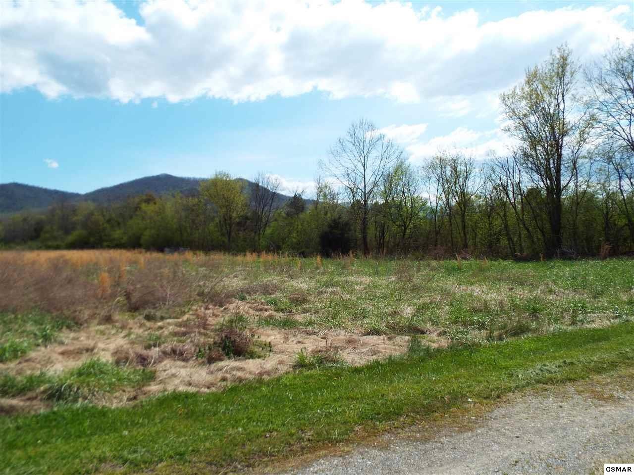 9 Padgett Mill Road Cosby, TN 37722 - Photo 25 of 25 Gallery Image 25