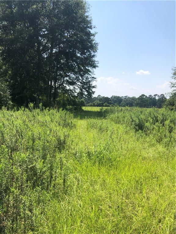 20133 Creel Rd No 1 Franklinton, LA 70438 - Photo 1 of 21 Gallery Image 1