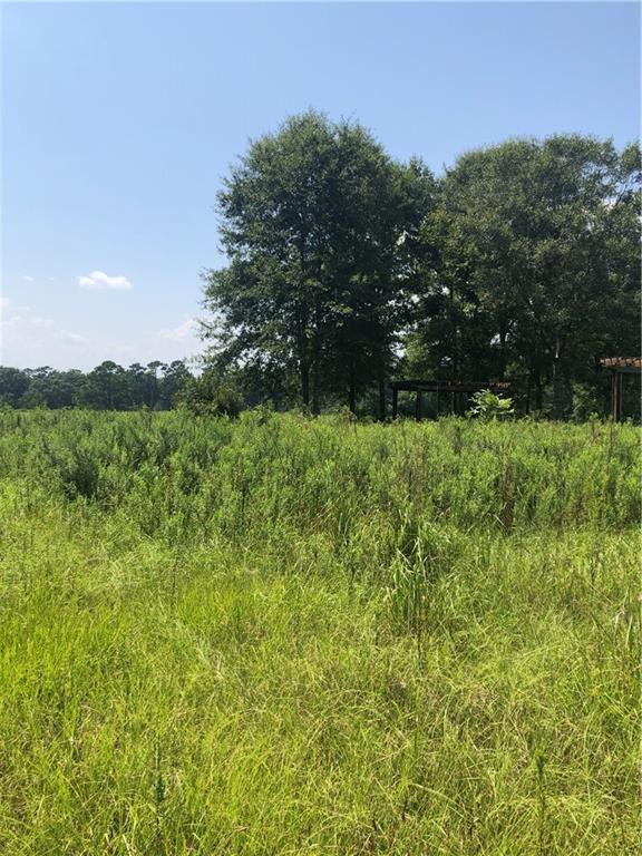 20133 Creel Rd No 1 Franklinton, LA 70438 - Photo 3 of 21 Gallery Image 3
