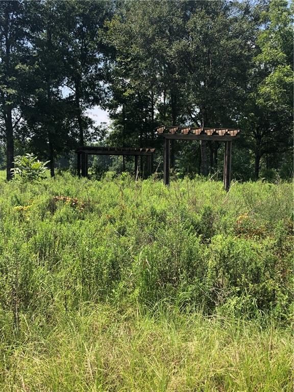 20133 Creel Rd No 1 Franklinton, LA 70438 - Photo 7 of 21 Gallery Image 7