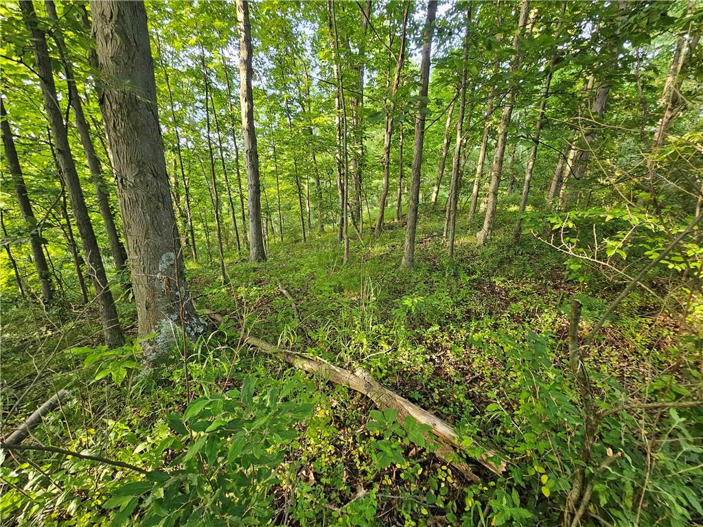 0 Fallen Timber Road Avella, PA 15312 - Photo 7 of 18