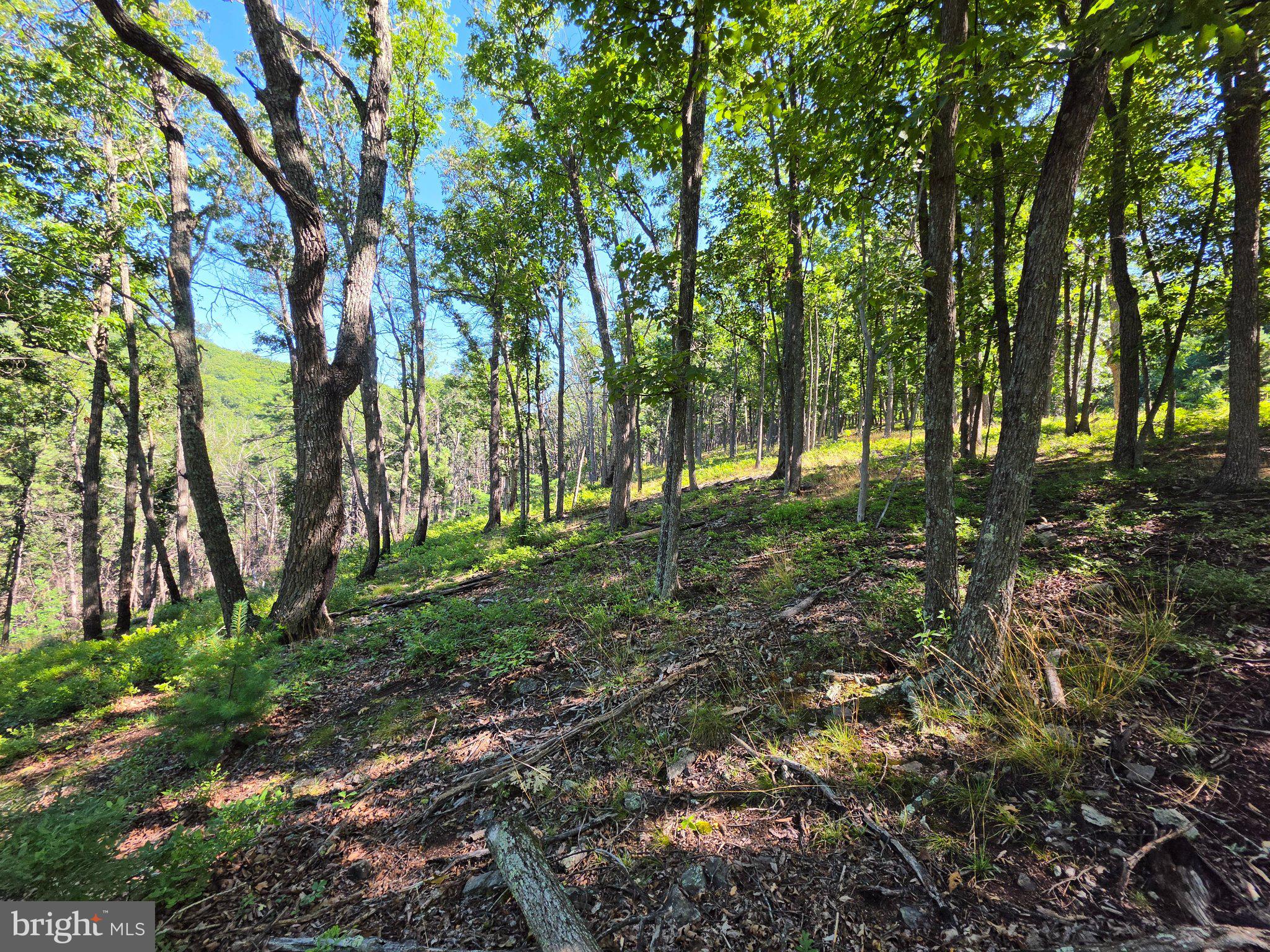 Lot 75 Hunters Rdg Trail Milam, WV 26838 - Photo 15 of 49 Gallery Image 15