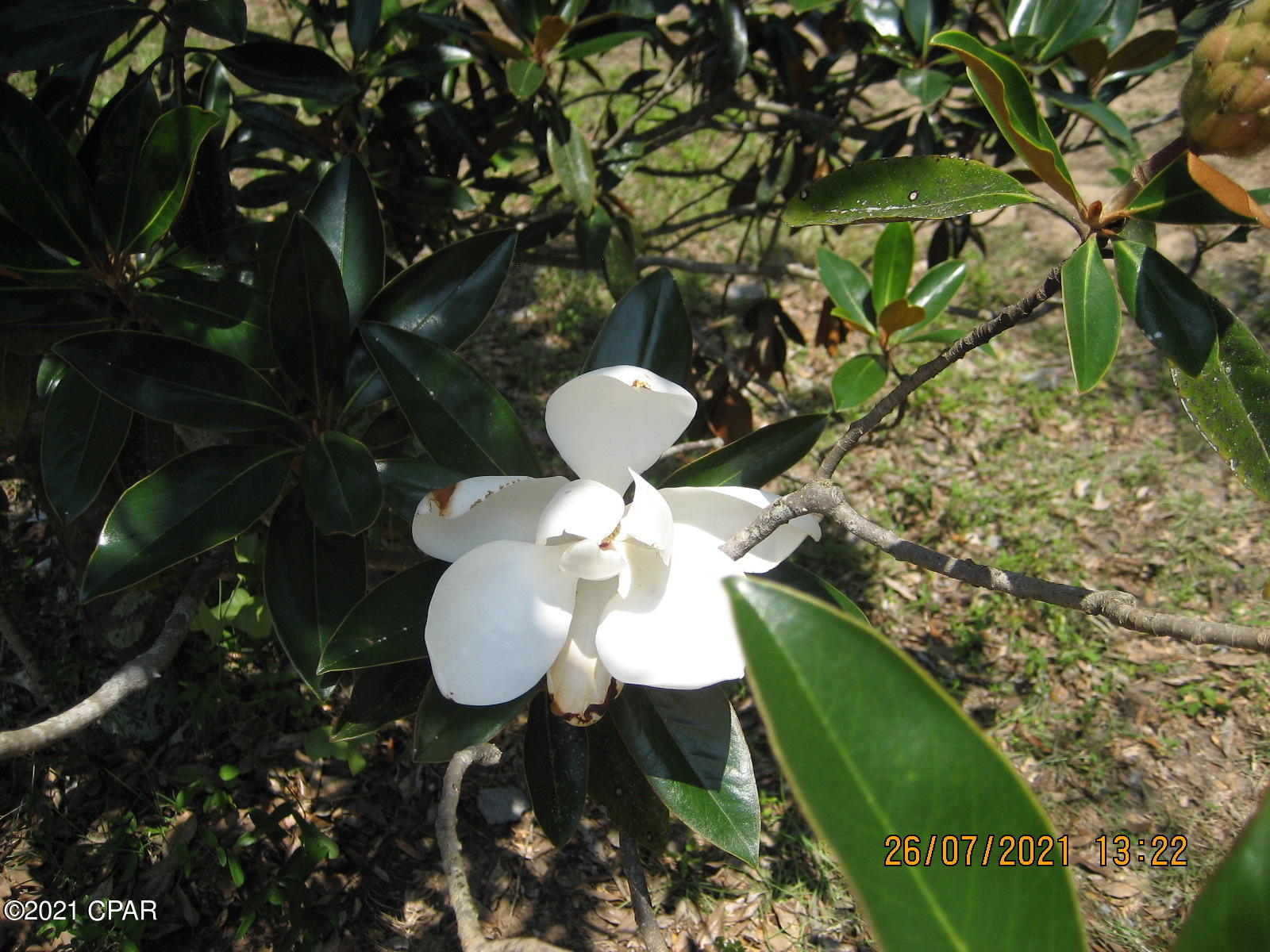 2926 Territory Road Chipley, FL 32428 - Photo 28 of 40 Gallery Image 28
