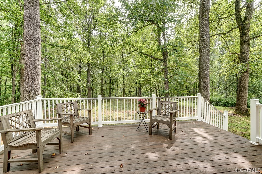 14147 Brookman Road Somerset, VA 22972 - Photo 26 of 49