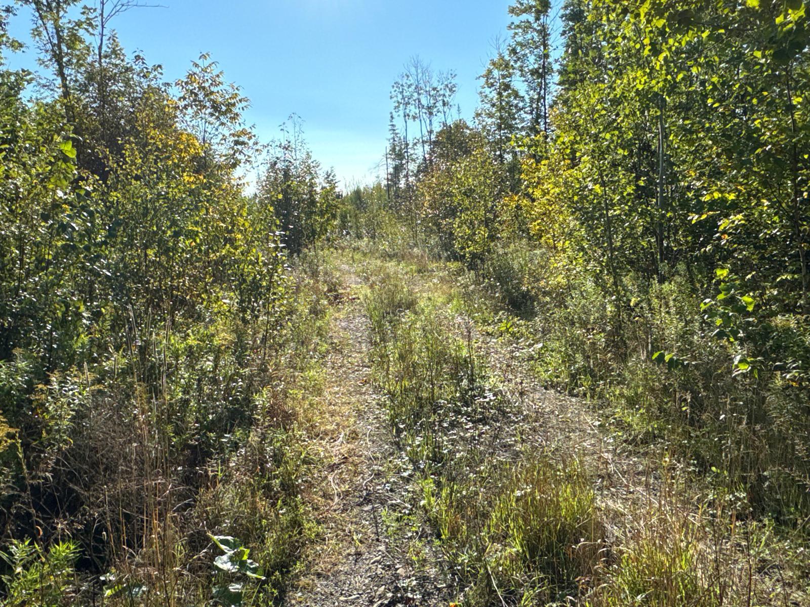 M8-l16 Grendell Road Mapleton, ME 04757 - Photo 2 of 9 Land