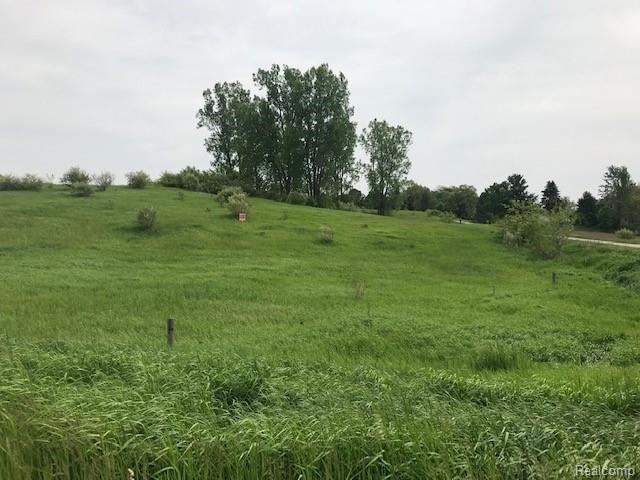 Vac Vac Meridian & Balcom Road Laingsburg, MI 48848 - Photo 18 of 20