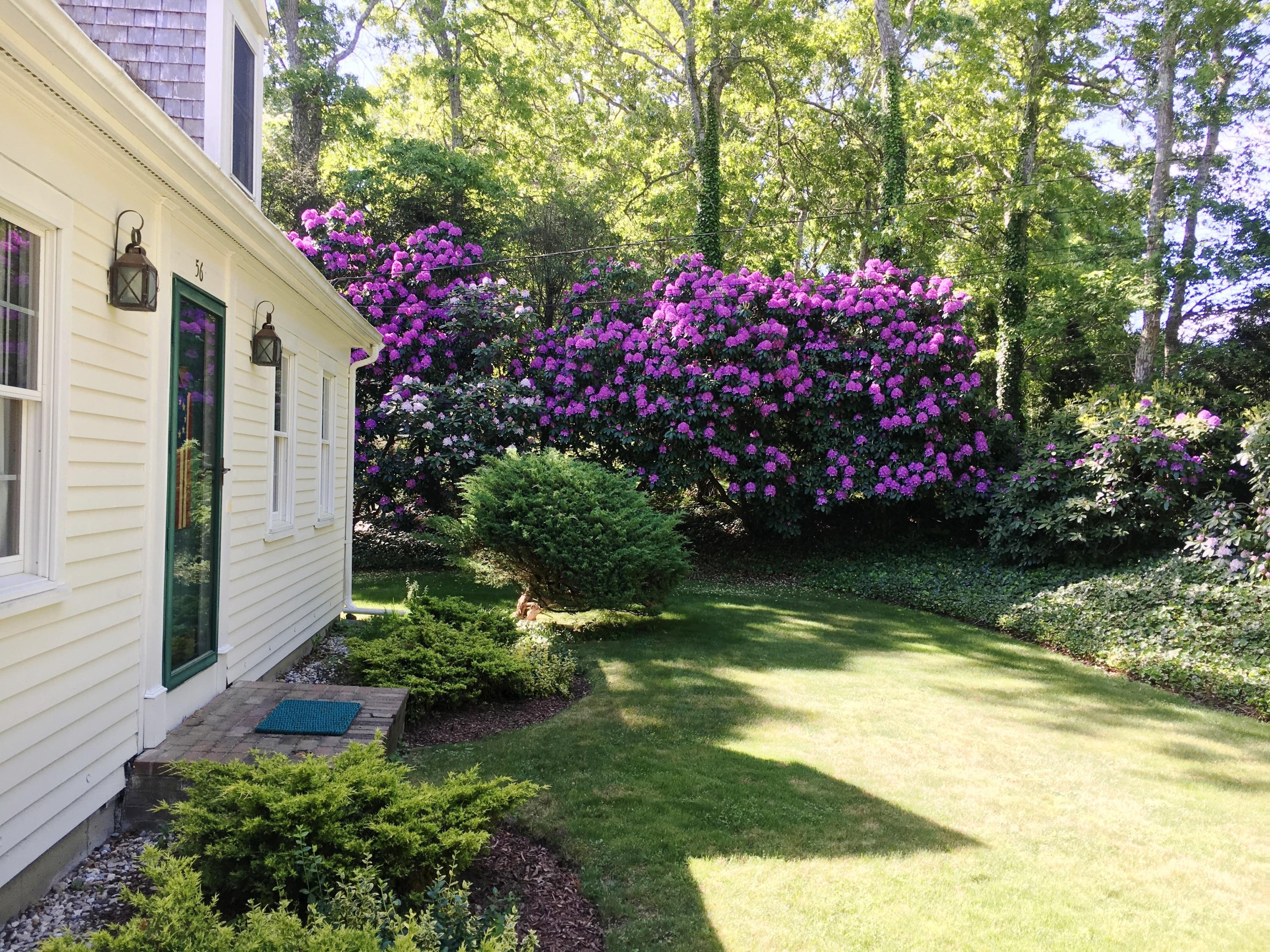 56 Flintrock Road Barnstable, MA 02630 - Photo 2 of 17 IMG_3789