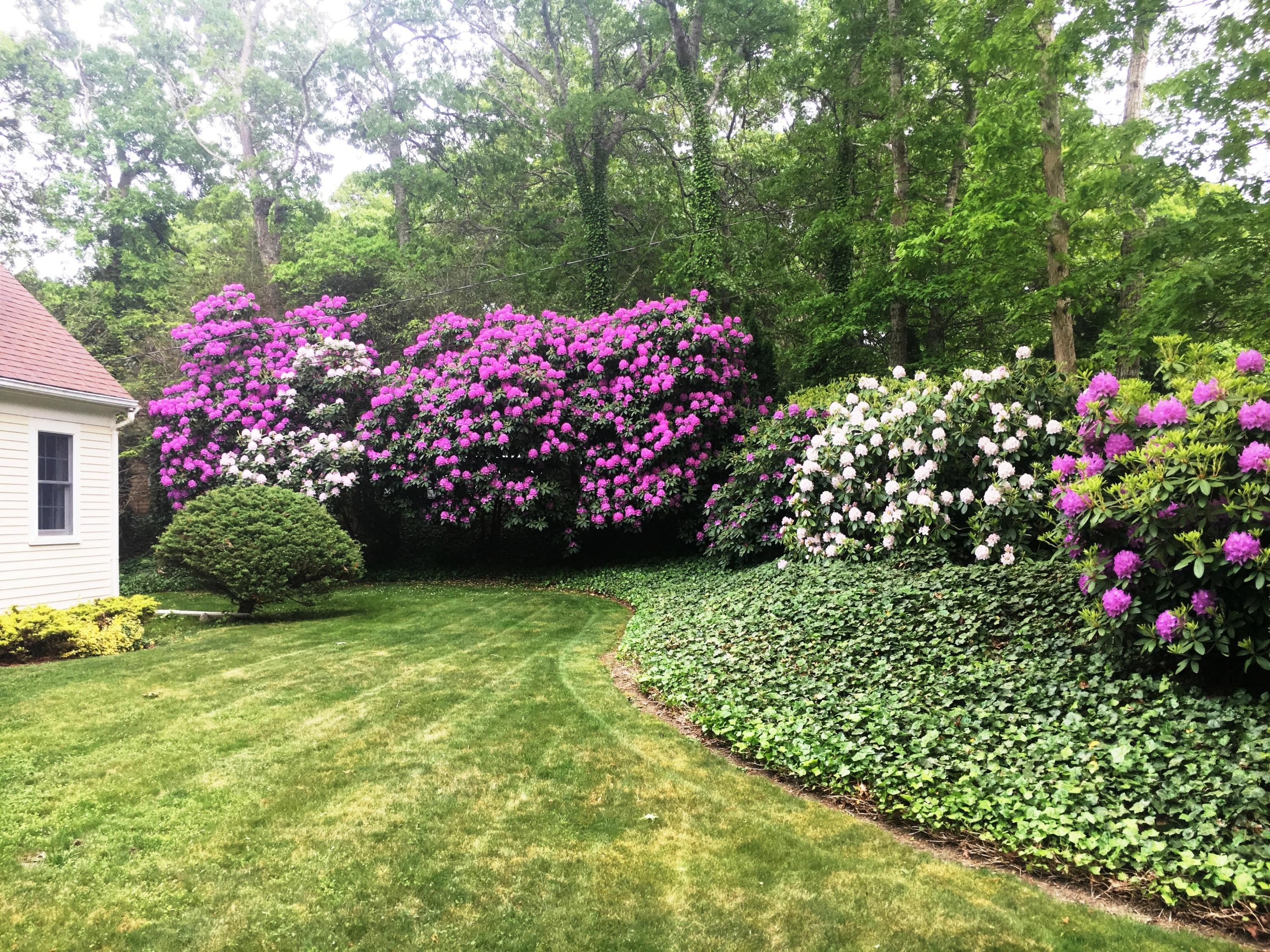 56 Flintrock Road Barnstable, MA 02630 - Photo 3 of 17 IMG_4424