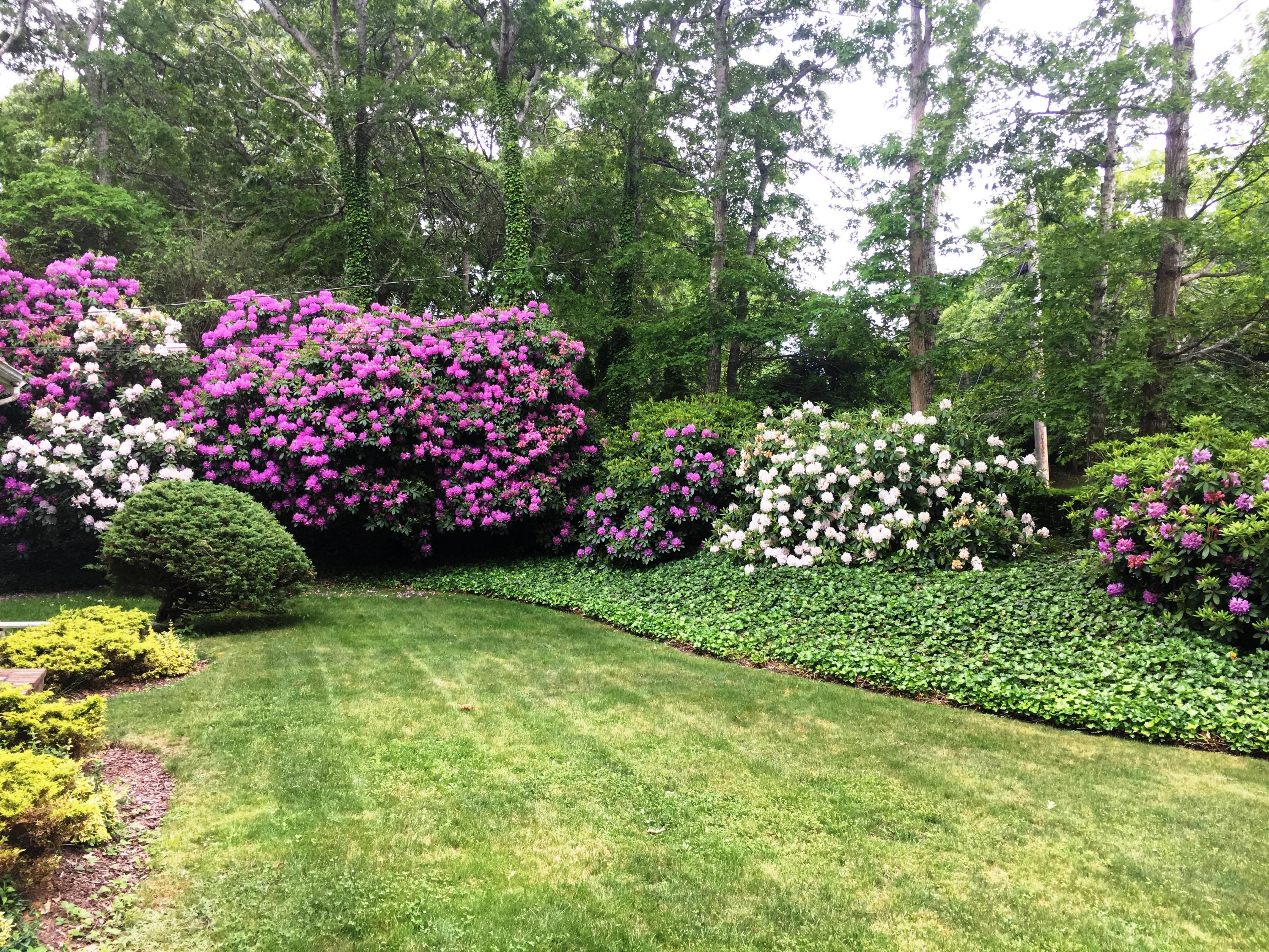 56 Flintrock Road Barnstable, MA 02630 - Photo 4 of 17 IMG_4431
