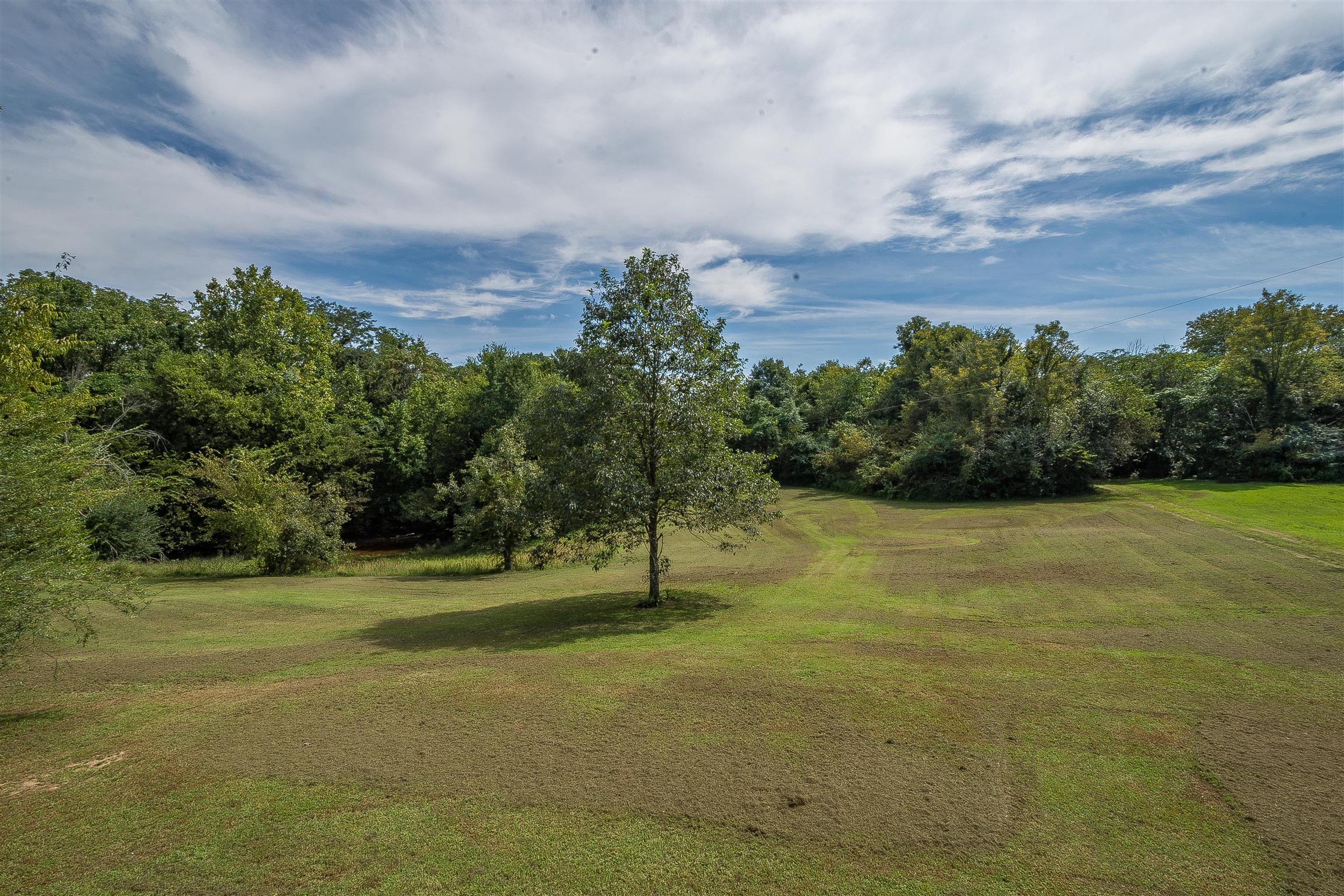 667 Petty Hollow Road Prospect, TN 38477 - Photo 13 of 28 a view of a field with trees