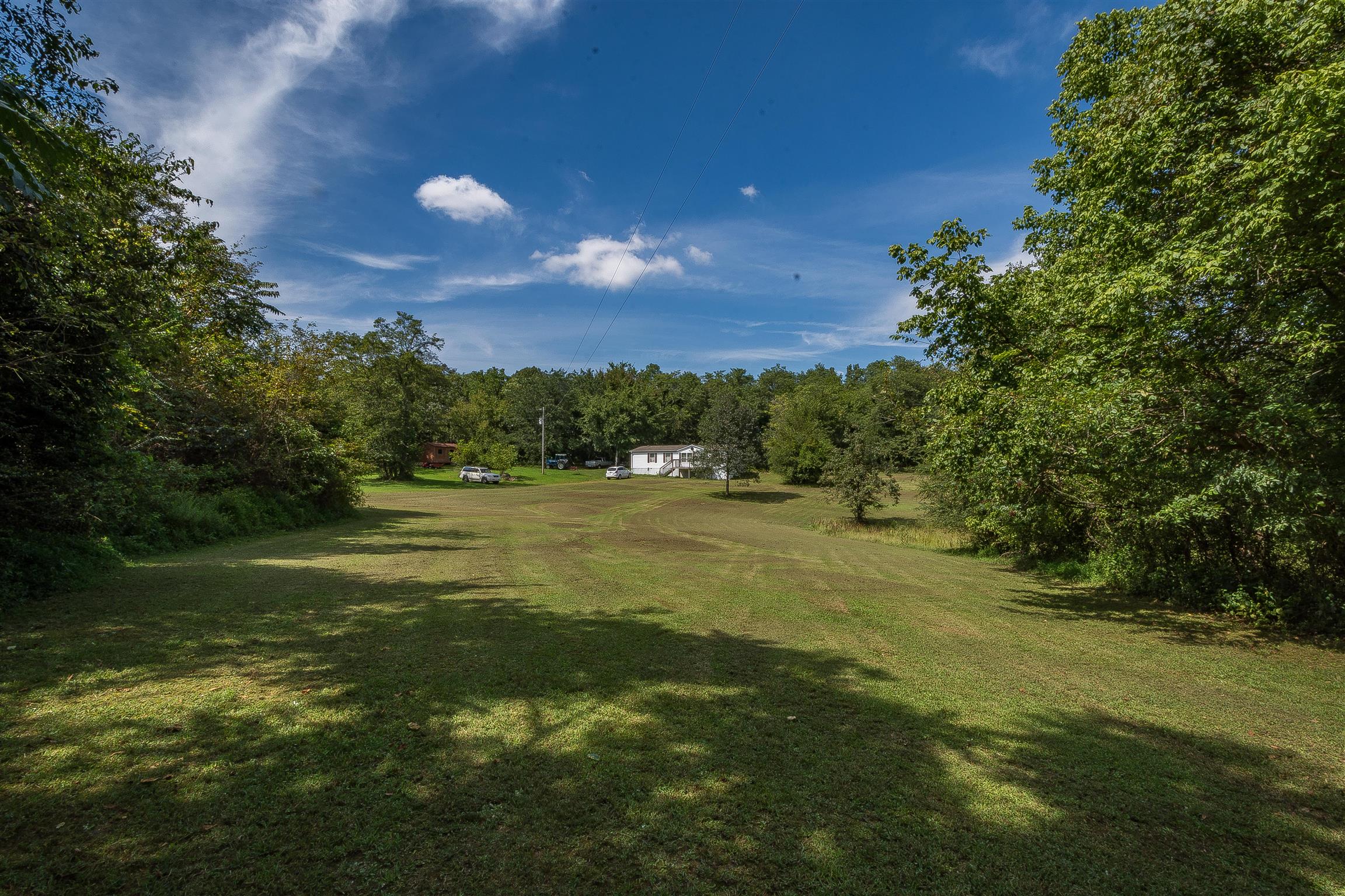 667 Petty Hollow Road Prospect, TN 38477 - Photo 3 of 28 a view of a field with an trees