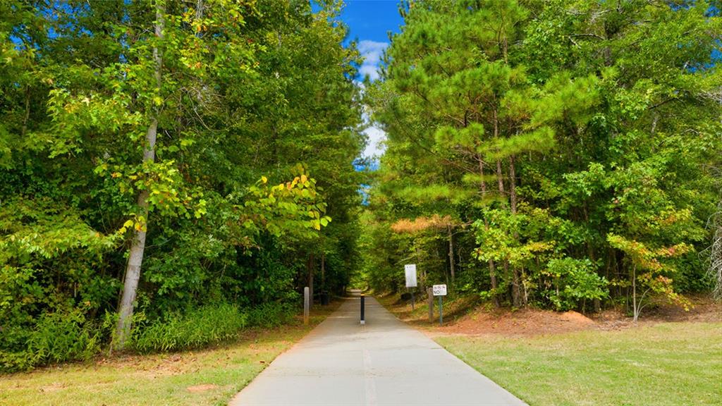 13617 Whitman Lane Covington, GA 30014 - Photo 8 of 58