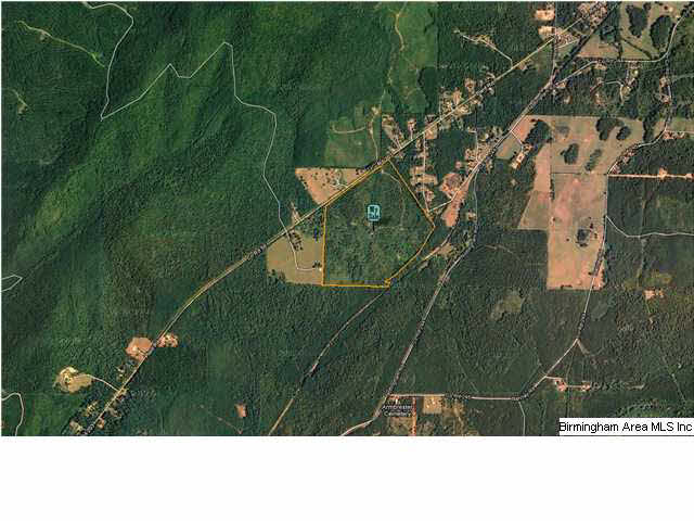Plant Road, Unit 118 Alpine, AL 35014 - Photo 10 of 11 Gallery Image 10