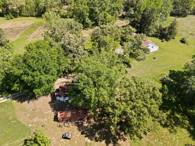 a view of a lake with a tree