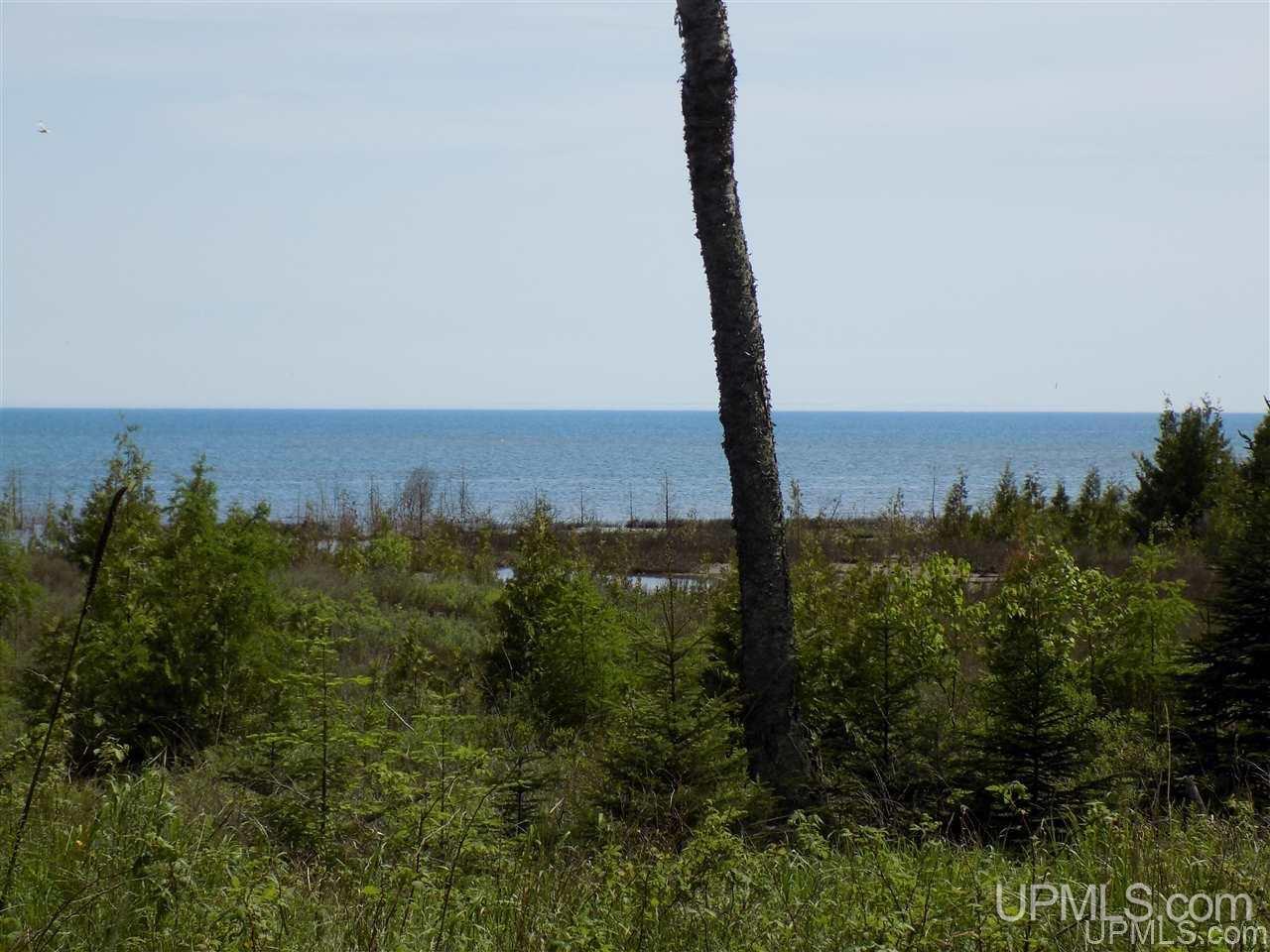 Tbd Miller Point Road Manistique, MI 49854 - Photo 4 of 18