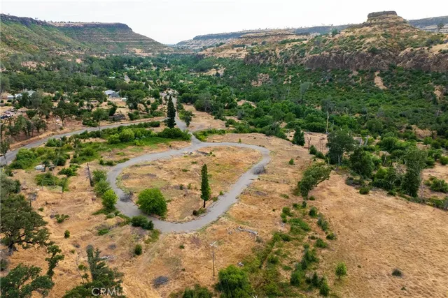 a view of a yard with a tree