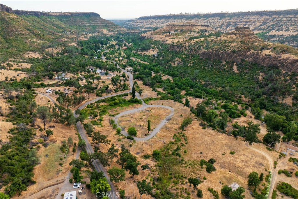2321 Honey Run Road Chico, CA 95928 - Photo 32 of 35 a view of a forest with a tree