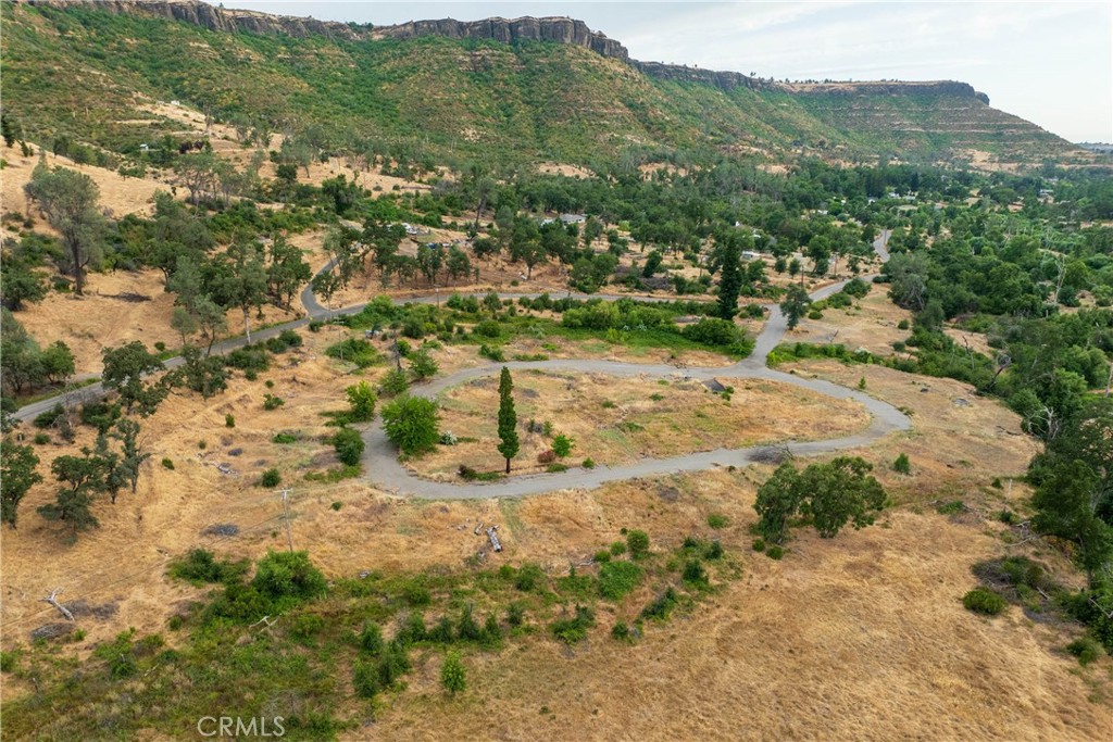 2321 Honey Run Road Chico, CA 95928 - Photo 34 of 35 a view of a yard with a tree