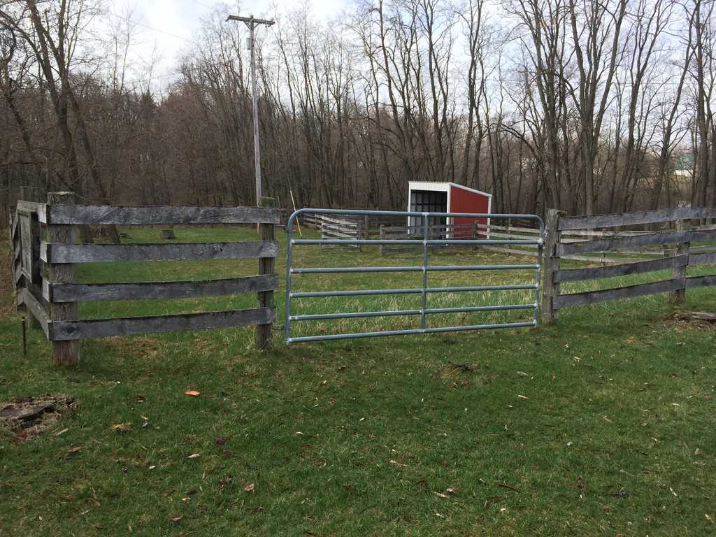 309 Mill Road Blanchard, MI 49310 - Photo 50 of 50 1795255-49.JPG