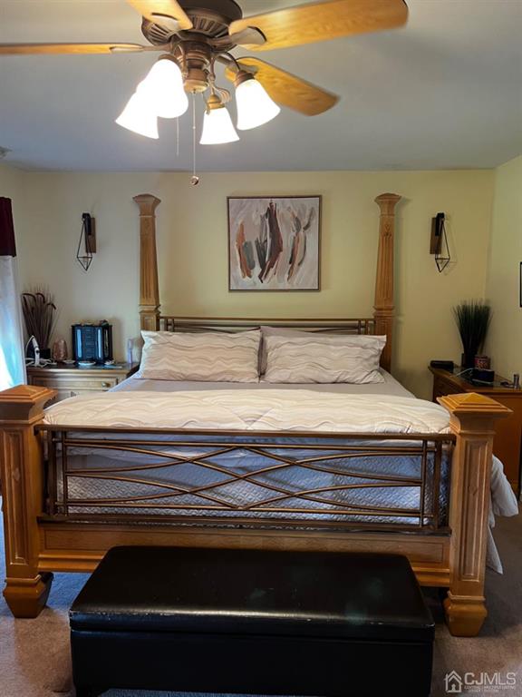8 Hageman Road Somerset, NJ 08873 - Photo 34 of 59 Master Bedroom & Ceiling Fan