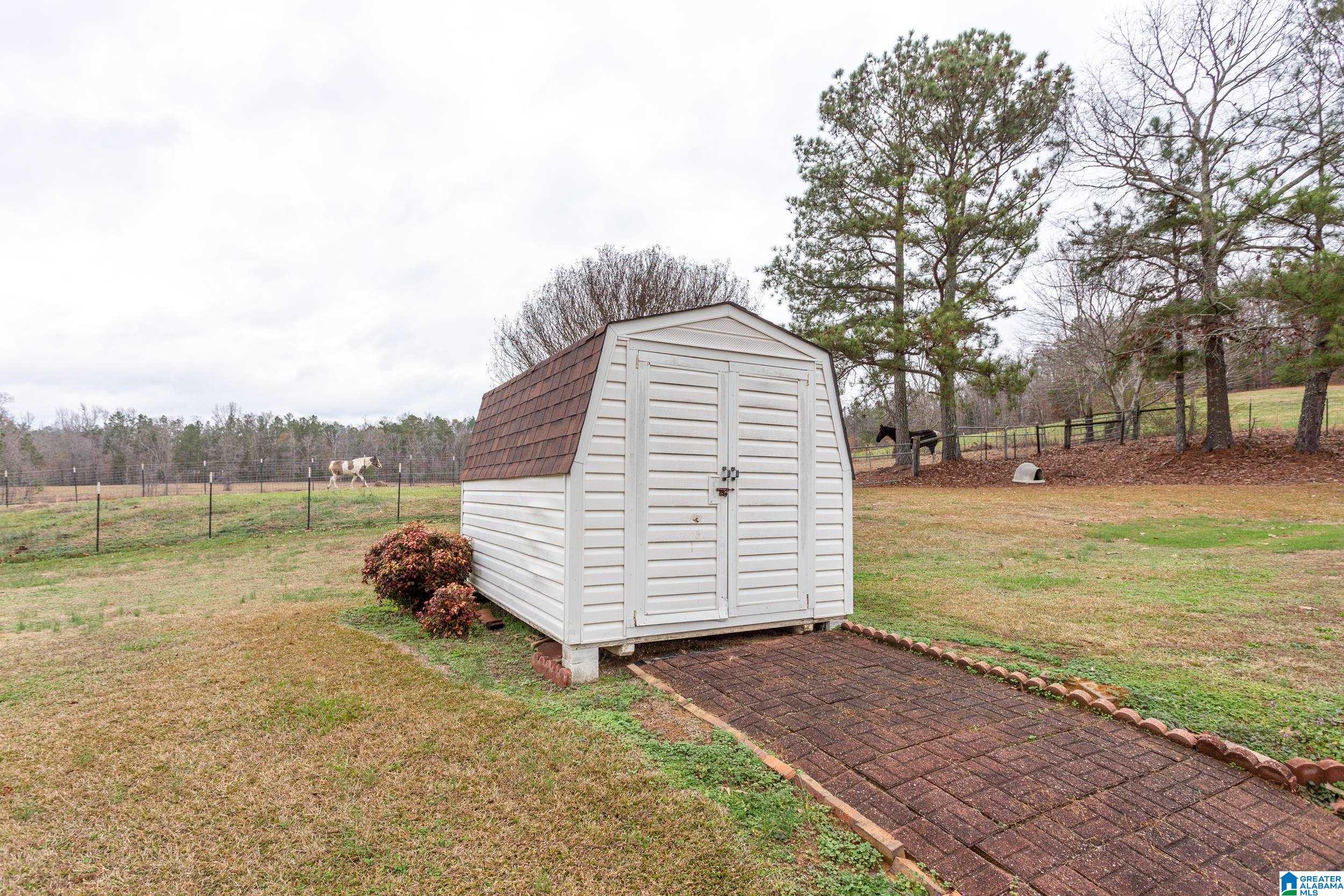868 Old Field Road Jacksonville, AL 36265 - Photo 32 of 39