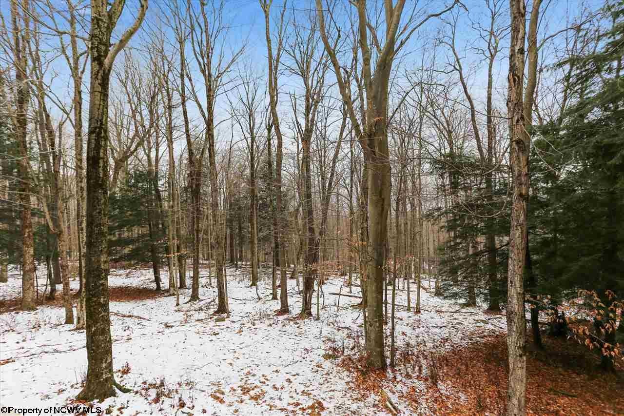 89 Ridge Road Davis, WV 26260 - Photo 26 of 27 Gallery Image 26