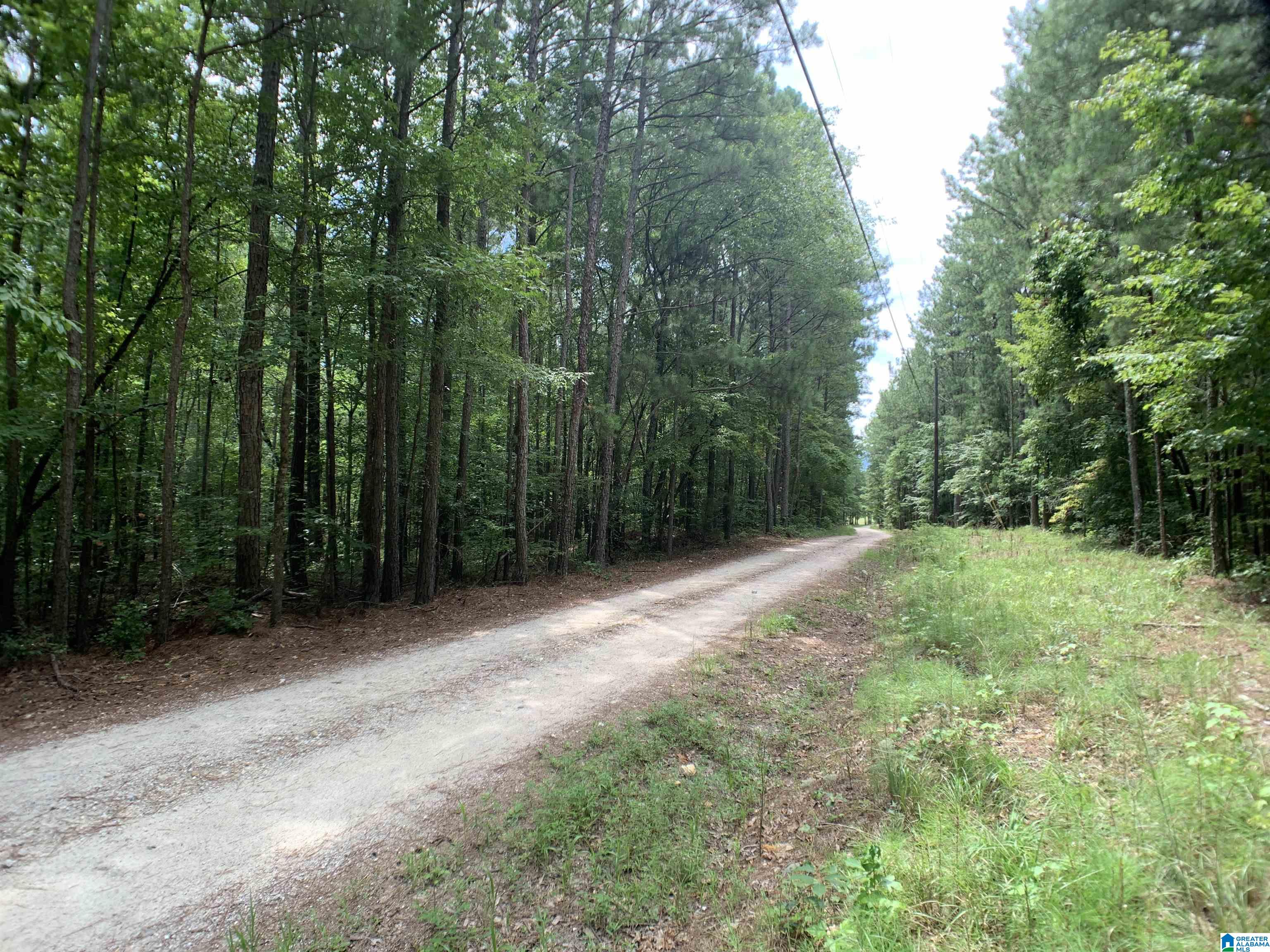 0 Arrowhead Road Piedmont, AL 36272 - Photo 8 of 8