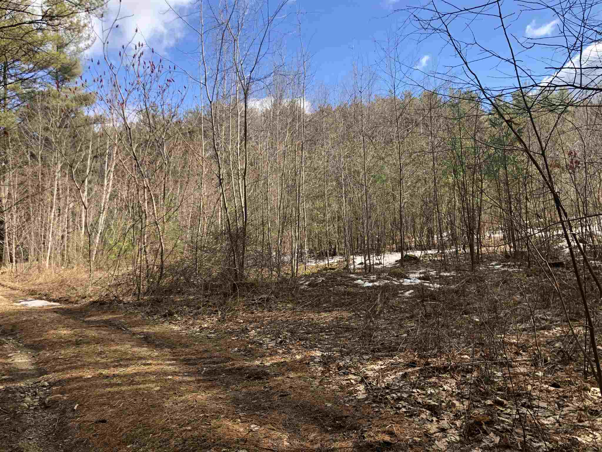 0 Skyboro Road Pownal, VT 05261 - Photo 1 of 4