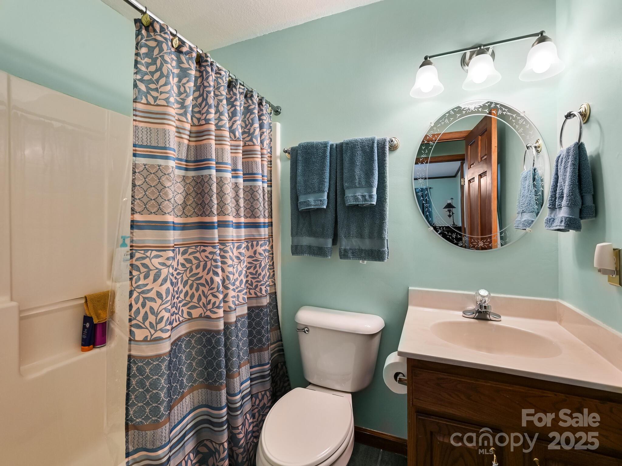 20 Brooks Cove Road Candler, NC 28715 - Photo 28 of 43 a bathroom with a toilet sink and mirror