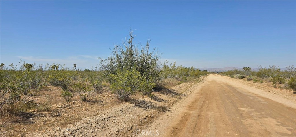 0 175th Street Llano, CA 93544 - Photo 13 of 17 a view of a dry yard with wooden fence