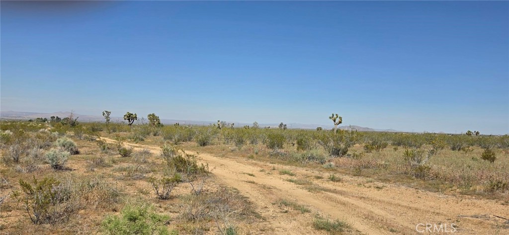 0 175th Street Llano, CA 93544 - Photo 9 of 17