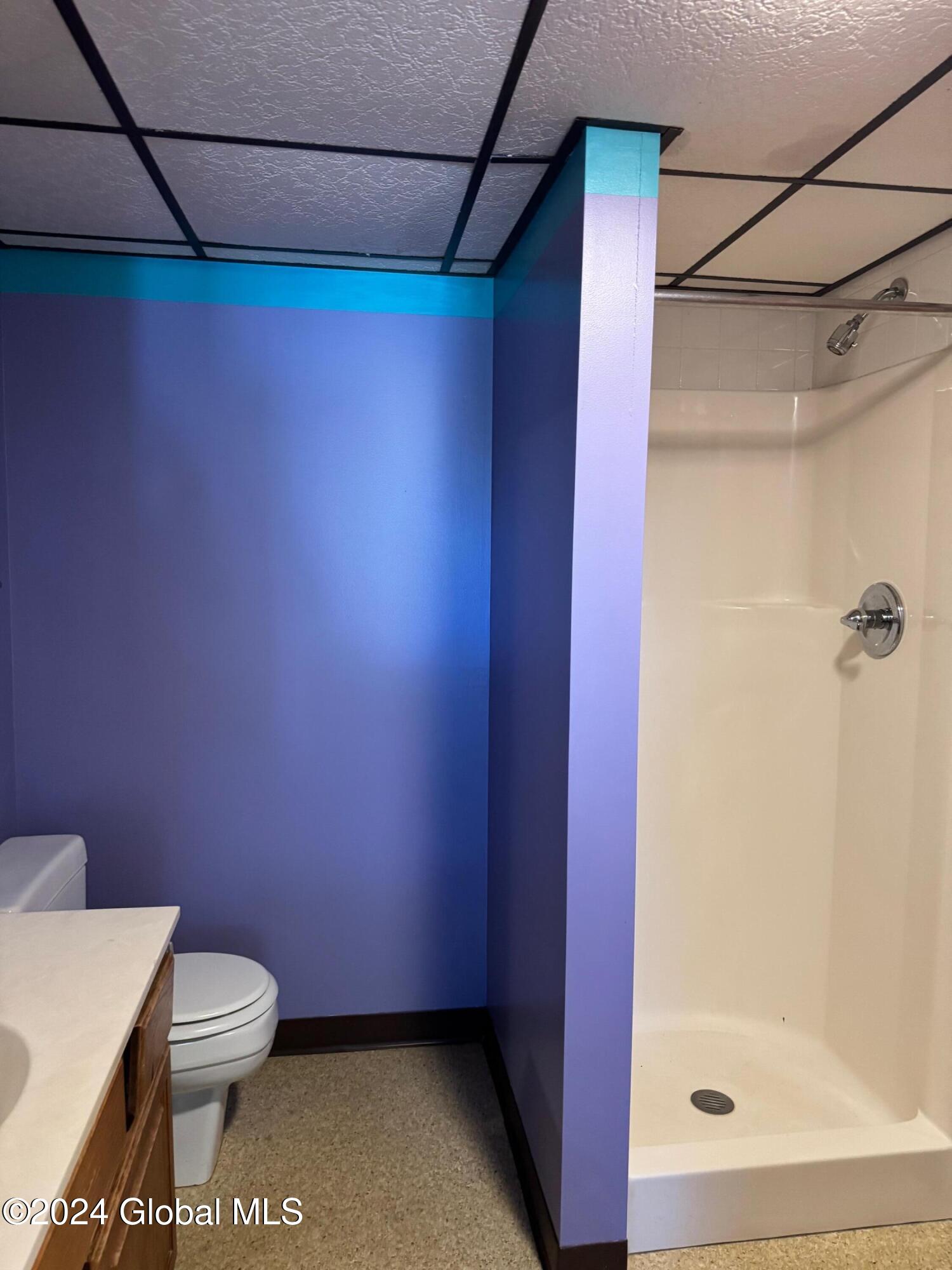 20 Westover Road Troy, NY 12180 - Photo 16 of 20 Lower Level full bath w shower