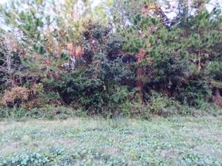2190 Richardson Road Charleston, SC 29412 - Photo 1 of 3 FullSizeRender