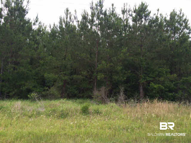 0 Peacock Lane Atmore, AL 36502 - Photo 1 of 1 Gallery Image 1