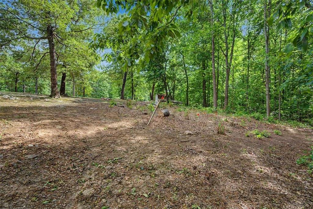 650 Raburn Road Bremen, GA 30110 - Photo 38 of 44