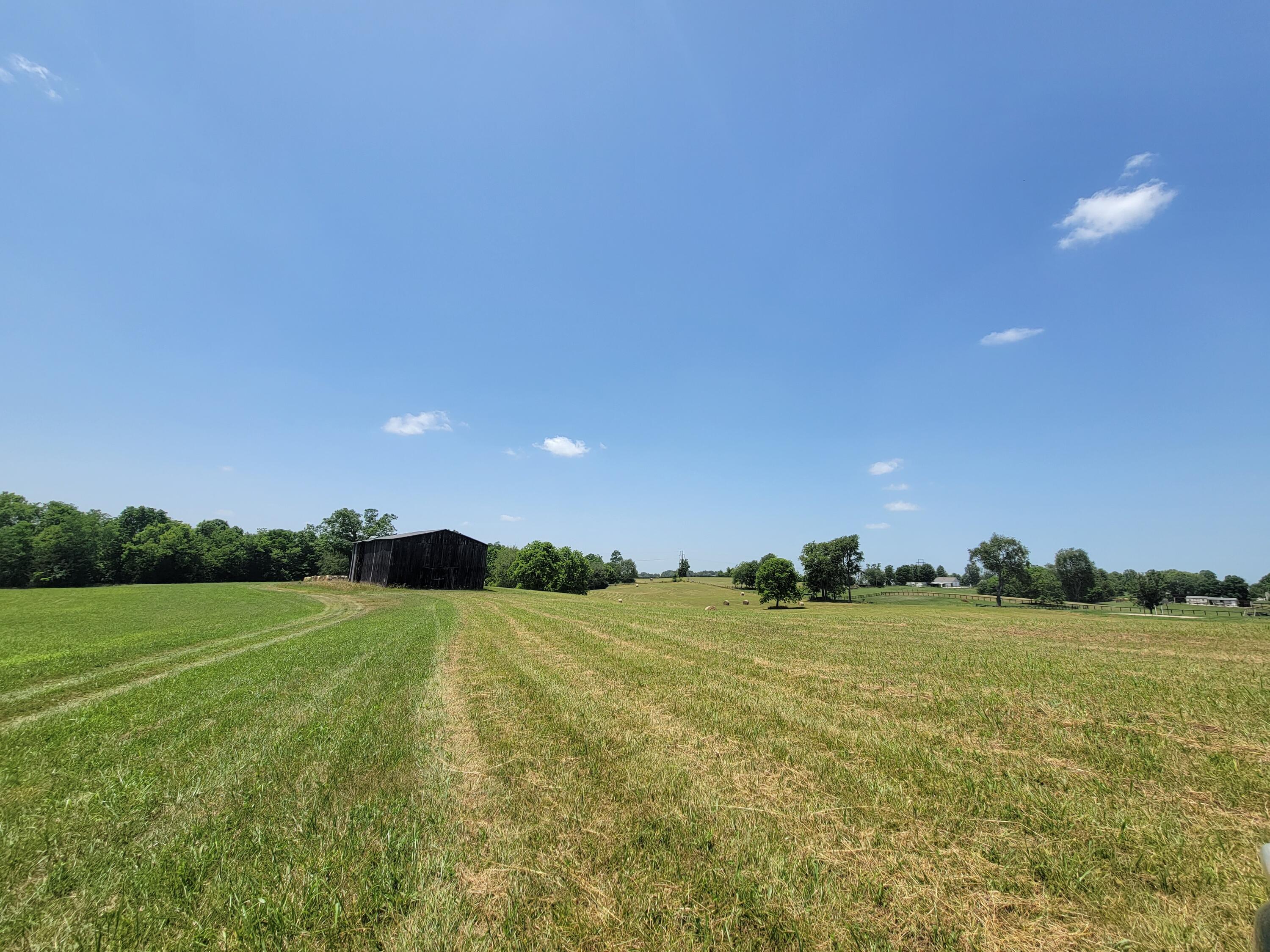 4897 Fords Mill Road Versailles, KY 40383 - Photo 46 of 52 20220615_132534