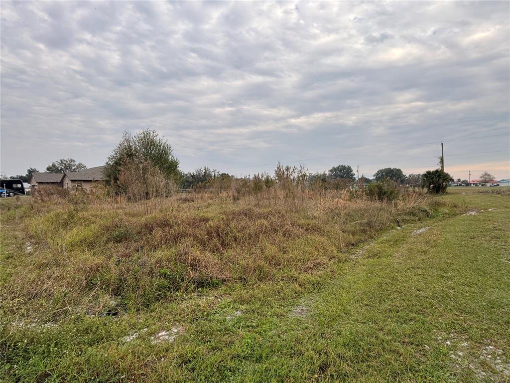 31083 Peace Street Punta Gorda, FL 33982 - Photo 2 of 7