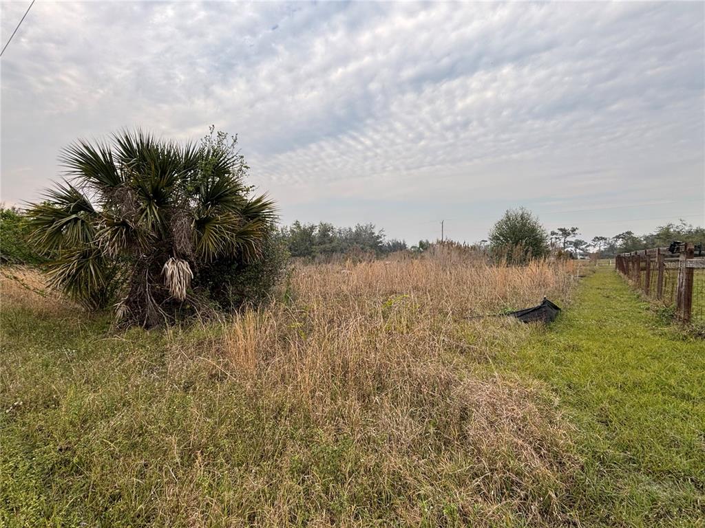 31083 Peace Street Punta Gorda, FL 33982 - Photo 4 of 7