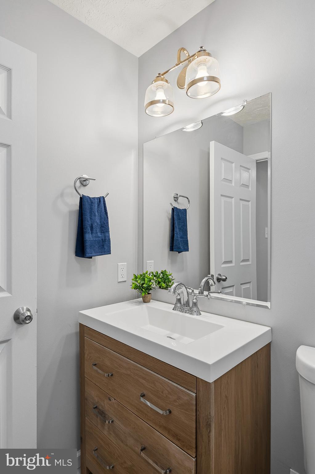 864 Snow Valley Lane Odenton, MD 21113 - Photo 21 of 42 Hall Bathroom Vanity